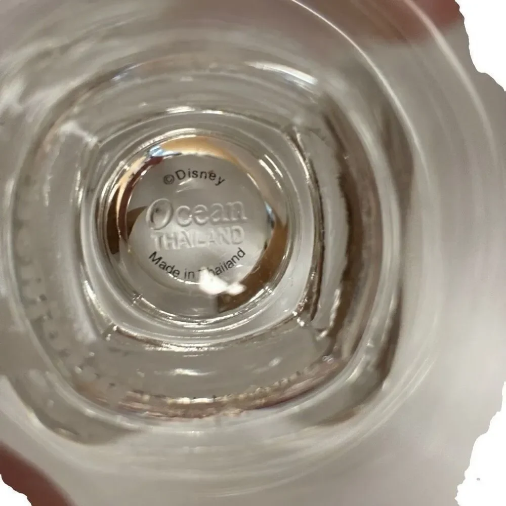 Disneyland Resorts Etched Shot Glass